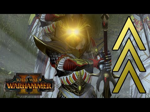 Rank 9 Swordmasters OP - High Elves vs Empire // Total War: WARHAMMER II Multiplayer Battle