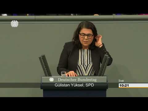 Rede zur Altersfeststellung minderjähriger Flüchtlinge (8. Sitzung am 19.01.2018)