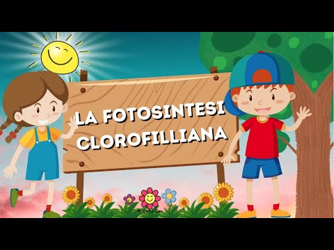 ☀️🌱LA FOTOSINTESI CLOROFILLIANA - Lezione di scienze per bambini