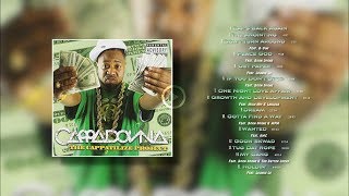 Cappadonna - The Cappatilize Project   (Album)