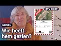 Hond Mick liep weg en zwerft al dagen in Duitsland | RTV Oost