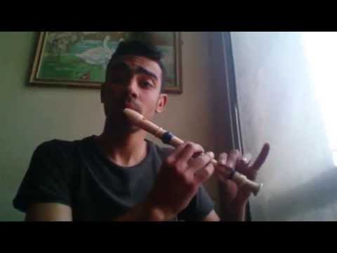 The Pink Panther - Recorder Beatbox - Medhat Mamdouh
