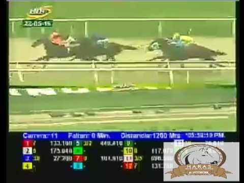 LA RINCONADA 11 CARRERA, DOMINGO 22 DE MAYO DEL 2016