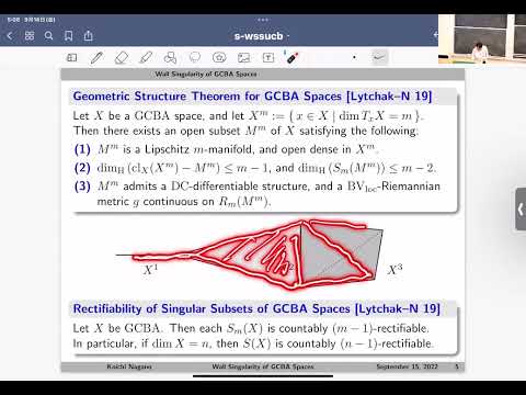 Wall singularity of spaces with an upper curvature bound