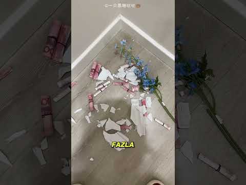 Yaramaz Kedi Saklı Parayı Bulmaya Yardım Etti 😂❤️ #shorts