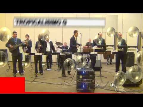 LA FIESTA DE LOS ANIMALES   GALLOS SHOW