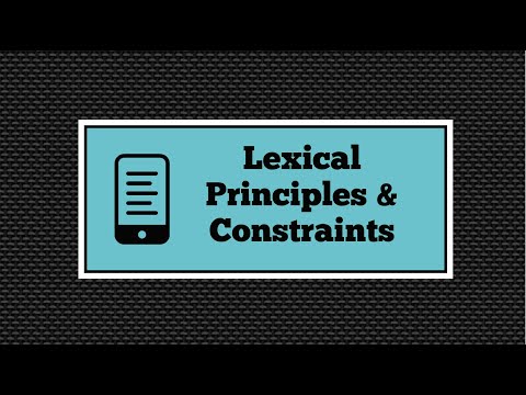 Lexical Principles & Constraints