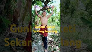 Download lagu Guntur saketi sekang baplang #videolucu #funny #videotiktoklucu #lucu #videoviral #parodi #comedy mp3 Download lagu Guntur saketi sekang baplang #videolucu #funny #videotiktoklucu #lucu #videoviral #parodi #comedy mp3