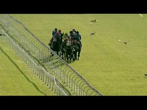 2021.05.01 Premier's Champions Challenge (RSA) - Got the Greenlight