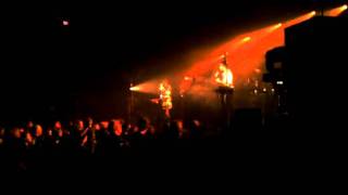 Blonde Redhead My plants are dead