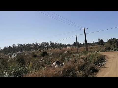 BUSES DE CANELONES, Línea 8 SOCA / CUCHILLA ALTA (por Las Vegas y Estación Floresta)