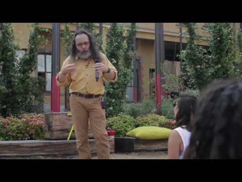 Bulent Somay: LOVE Concept in History