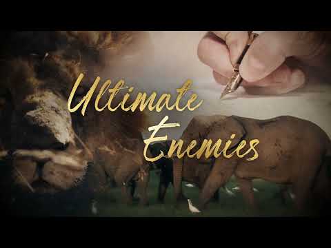 Ultimate Enemies - Trailer - Wildlife Films - National Geographic
