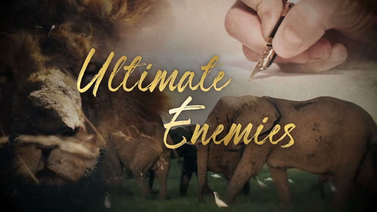 Ultimate Enemies - Trailer - Wildlife Films - National Geographic