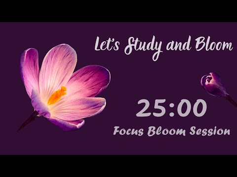 2-Hour Blooming Focus with Purple Crocus 🌸 | 25/5 Pomodoro Timer | Relaxing Lofi for Study & Work 🎧