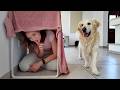 Playing Hide And Seek With My Dog