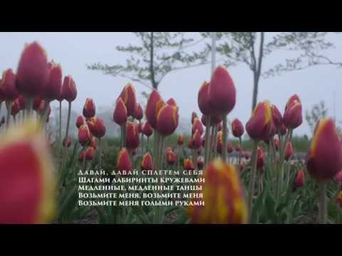 Video thumbnail for Медленные танцы (Slow Dances)
