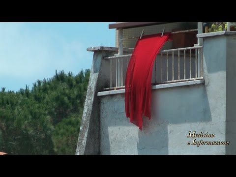 L’avv. Licia D’Amico e la Presidente Guerreschi parlano della strage delle donne con Medicina ed Informazione, sito web specializzato.