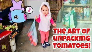 preview picture of video 'THE ART OF UNPACKING TOMATOES!!'