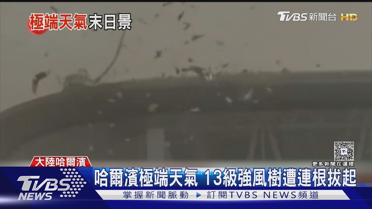 影音/哈爾濱罕見沙塵暴! 白天秒變黑夜 13級強風「樹連根拔起」