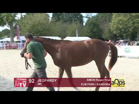 Show AQPS Ouest 2021 - Lot 92