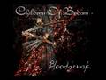 Children Of Bodom - Banned From Heaven (Cover ...