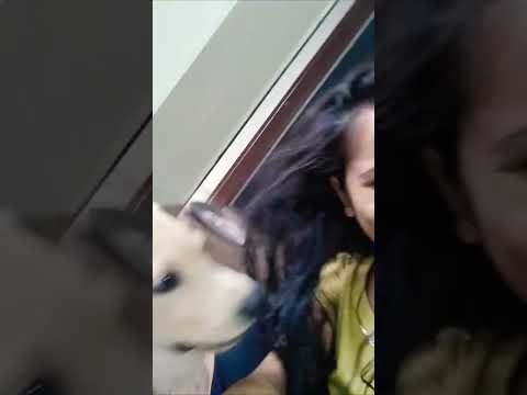 Good morning doston ♥️ @Shivali-Vlogs #shorts #youtubeshorts #ytshorts #viral