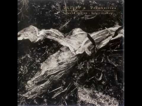 David Sylvian and Holger Czukay - Plight (The spiralling of winter ghosts)