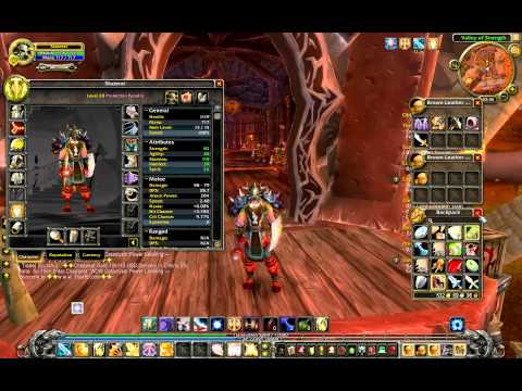 Wow Blood Elf Paladin level 20 with high level transmog gear!