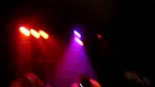 Animal Collective - We Tigers