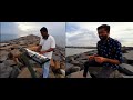 Seamless Series Theekuruvi Rayile