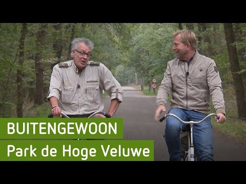 Park Hoge Veluwe | Buitengewoon 13 oktober
