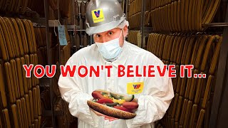 What's a Hotdog Made Of? (Hotdog Factory Tour)