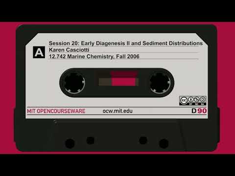 Early Diagenesis II and Sediment Distributions
