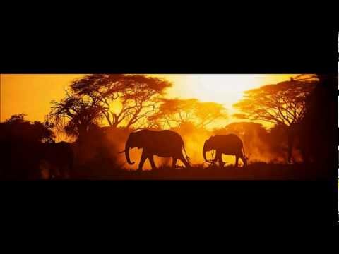 Oliver Mtukudzi - Ishe Komborera Africa