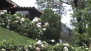 preview picture of video 'CHALET RANCHO LUIS- COLONIA TOVAR'