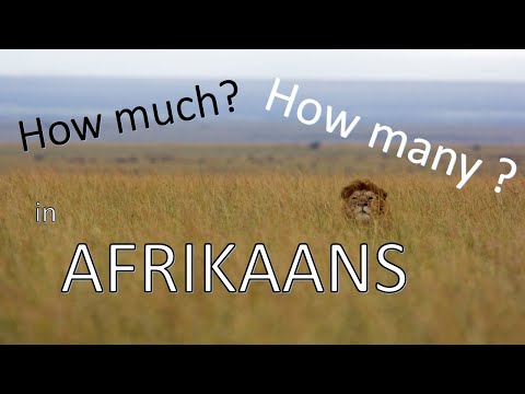 Learn Afrikaans: Asking How much / How many