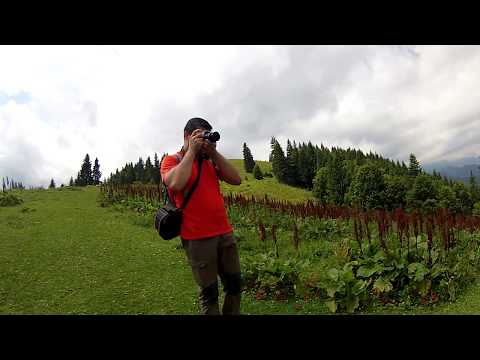 4Iul18 Clăbucetul Taurului