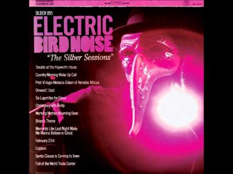 electric bird noise - the silber sessions (full album)