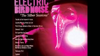 electric bird noise - the silber sessions (full album)