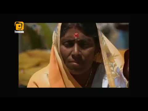 Os rios e a vida  Ganges   YouTube 360p