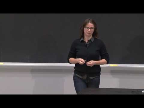 Black Box and Glass Box Testing