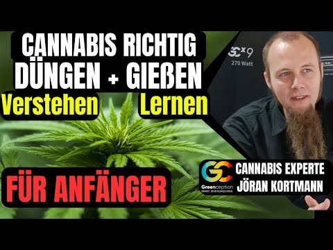 Cannabis Anbauen richtiger Dünger und gießen Nährstoffmangel Überdüngung Schädlinge für Anfänger