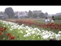 SONG 80 ULLASA PARAVAIGAL GERMANIYIN SENTHEN