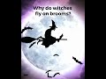 Why do witches fly on brooms?