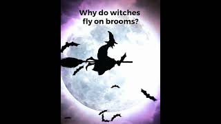 Why do witches fly on brooms?