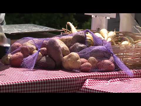 Sussex Senior Vouchers