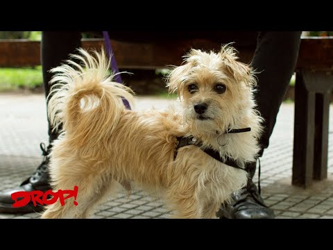 Joaquín Plada - Cabito (Video Oficial)