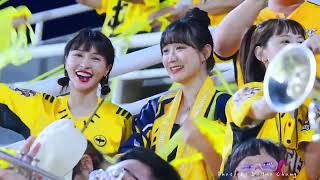 [問卦] 兄弟象冠軍邊蝦橘丟彩帶哭了