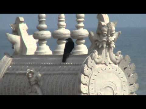 download lagu mp3 mp4 Krishna Theatre Tiruchendur Online Ticket Booking, download lagu Krishna Theatre Tiruchendur Online Ticket Booking gratis, unduh video klip Krishna Theatre Tiruchendur Online Ticket Booking